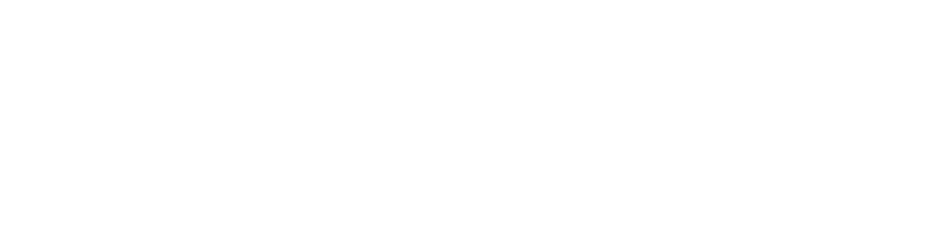 Algo Tech Strategy